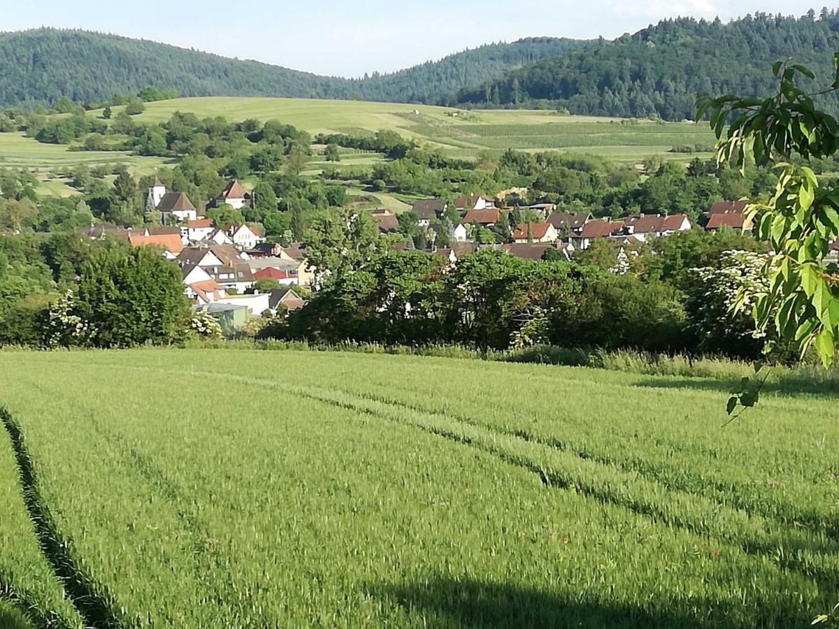 Galerie Ueber den Gaerten Herbolzheim Exteriér fotografie
