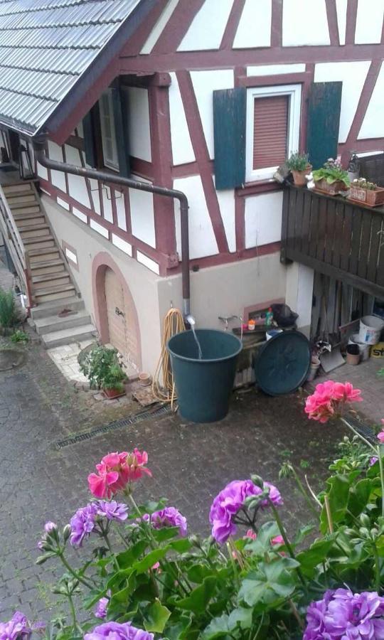 Galerie Ueber den Gaerten Herbolzheim Exteriér fotografie